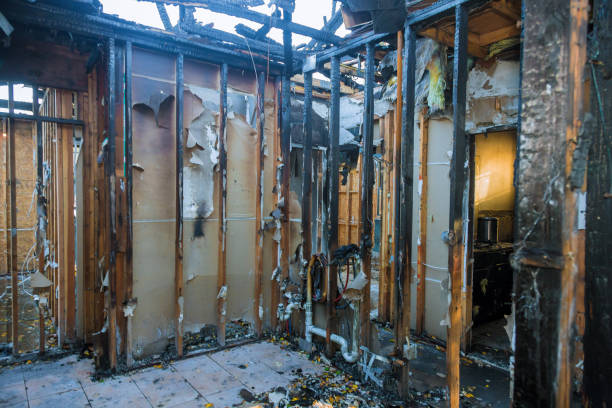 Professional Fire Damage Removal technician working in Riverview, FL